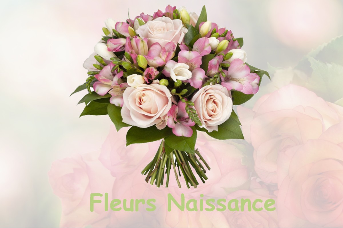 fleurs naissance MARSAC-SUR-L-ISLE